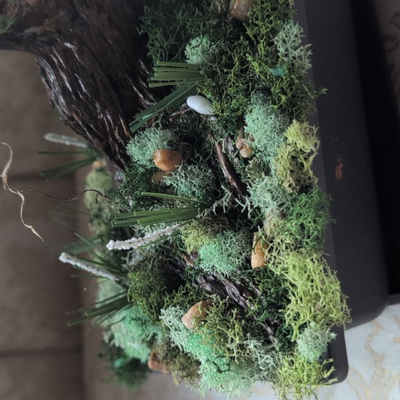 Hand Made Bonsai Tree - Picture 3 of 6